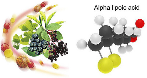 Alpha lipoic acid dưỡng chất tuyệt vời dành cho mắt